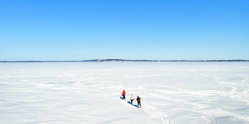 Picture of Frozen Lake Mendota